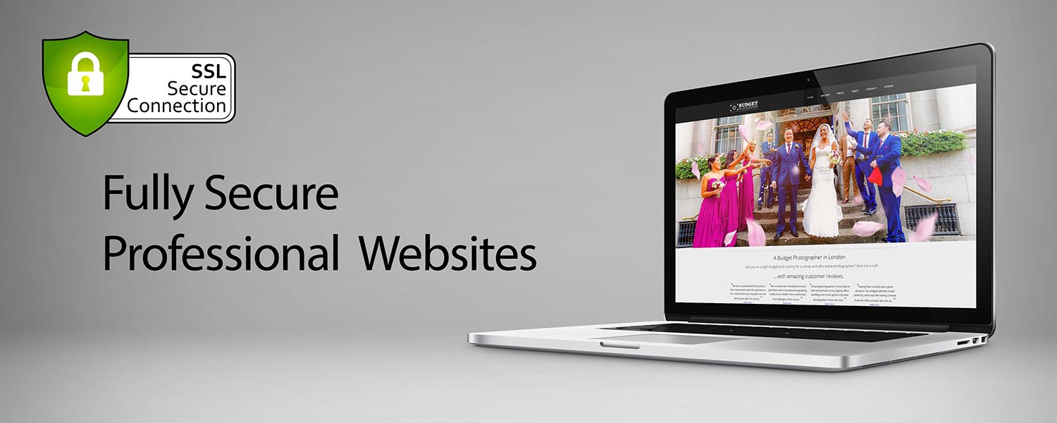 Fully Secure Professional Websites